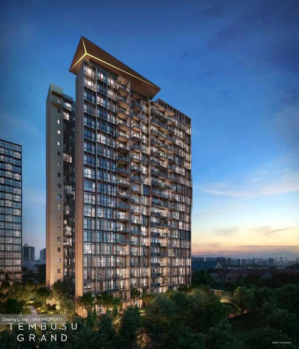 Tembusu Grand (D15), Condominium #604832891